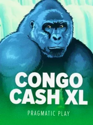 Congo Cash XL at Spinfever